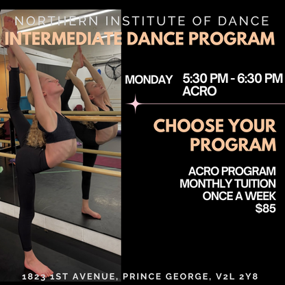 Intermediate Dance Program (ages 8+)