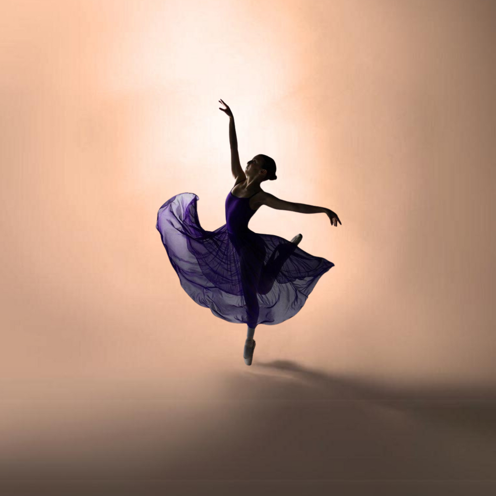 <p>Inspiring Journeys — From Our Students to You</p>