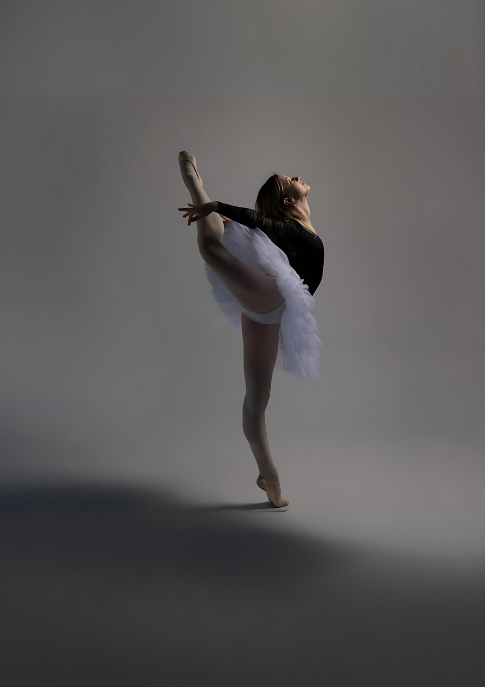 <p>Inspiring Journeys — From Our Students to You</p>